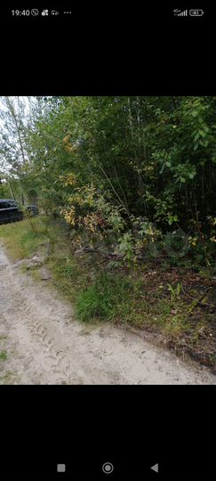 Участок 4 сот. (СНТ, ДНП)