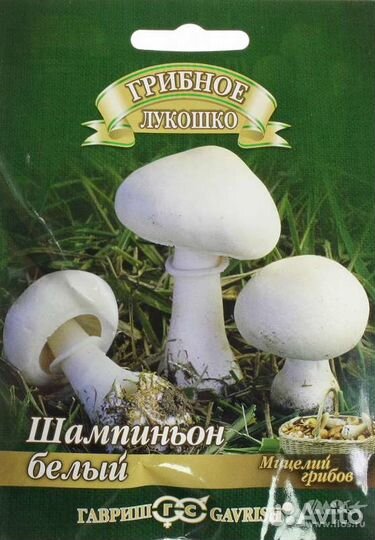 Шампиньон белый (Мицелий) 50мл