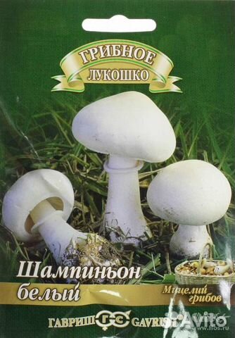 Шампиньон белый (Мицелий) 50мл