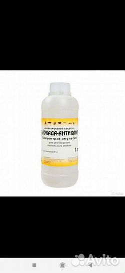 Самостоятельная обработка от клопов тараканов