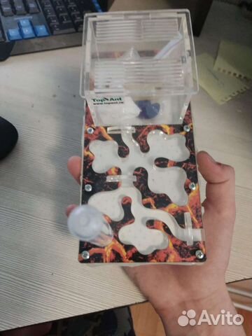 Формикарий муравьиная ферма