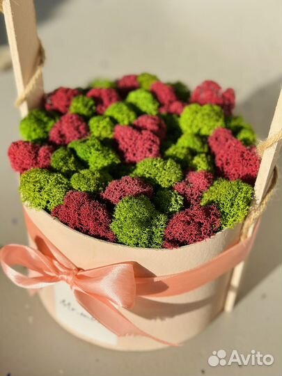 Подарочная корзина из стабилизированного мха