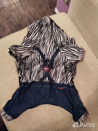 Одежда для собак