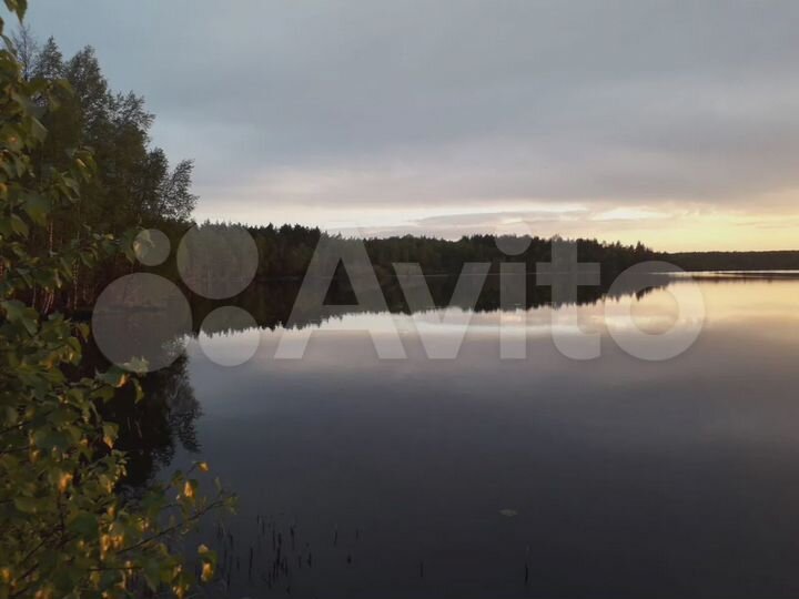 Участок 12 га (ИЖС)