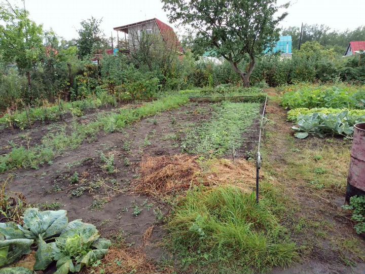 Дача 10 м² на участке 4 сот.