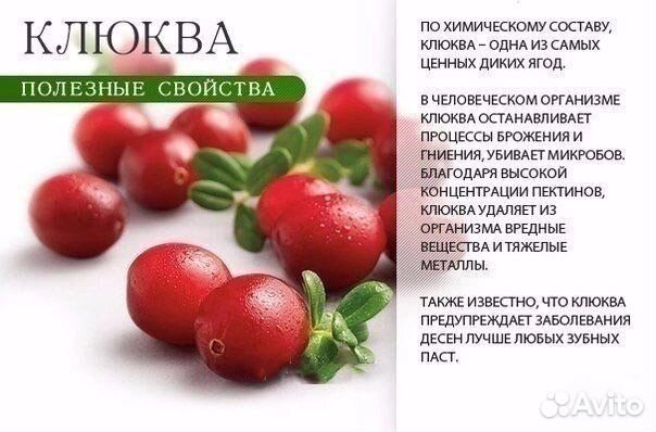 Ягоды и грибы