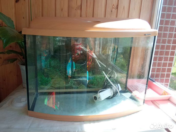 Аквариум