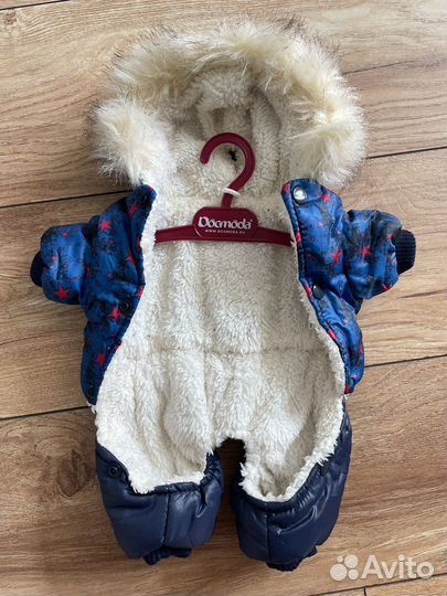 Одежда для собак мелких пород