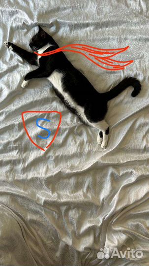 Центровочные кольца для дисков