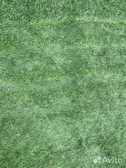Искусственная трава