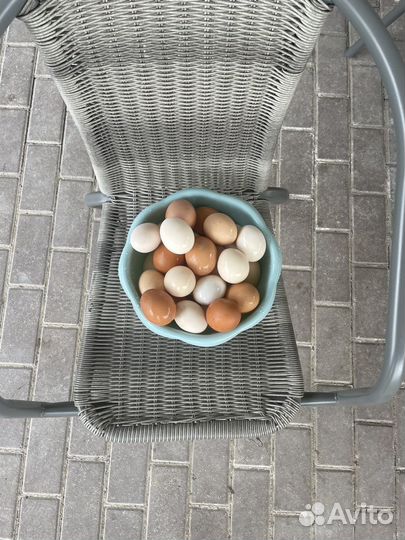Продаются домашние яйца