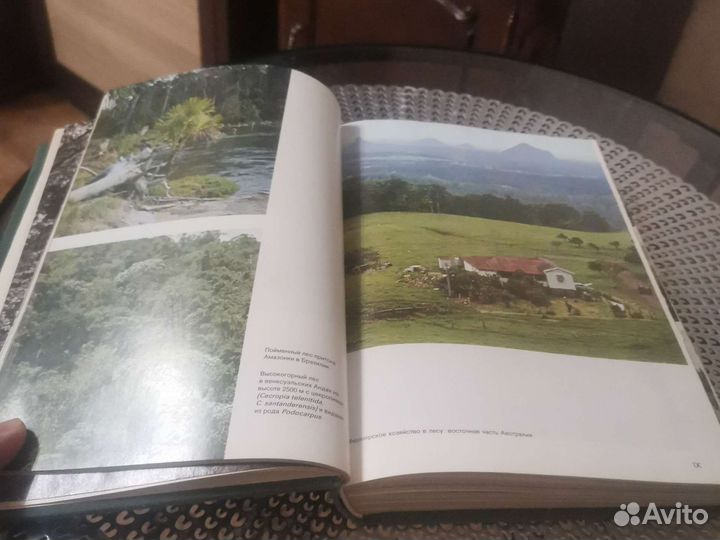 Иллюстрированная энциклопедия лесов