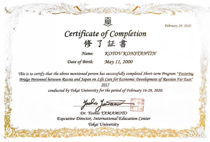 Репетитор Китайского, Уроки китайского языка