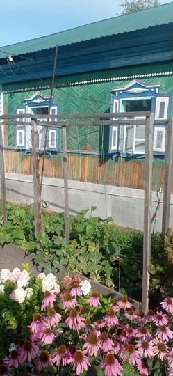 Дом 50 м² на участке 3,2 сот.