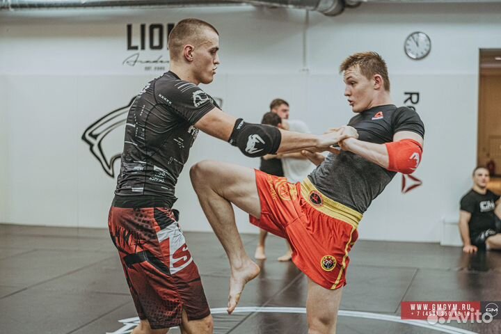 Индивидуальные тренировки: Бокс, Тайский бокс, мма