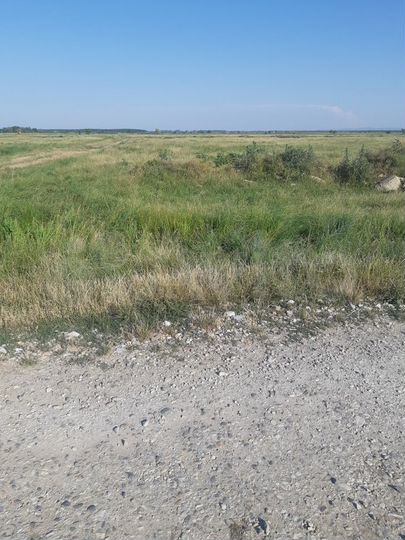 Участок 15 сот. (ИЖС)