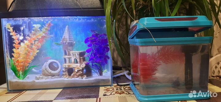 Аквариум