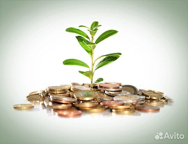 Ищу инвестора, ищу партнёра, продам долю