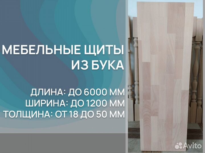 Буковый щит