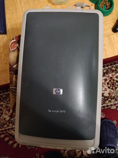 Сканер scanjet 3670