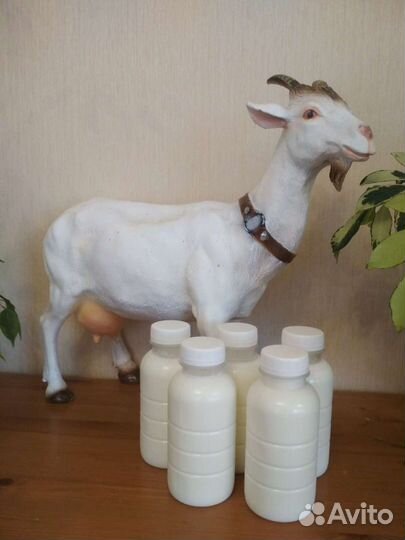 Молоко козье с доставкой