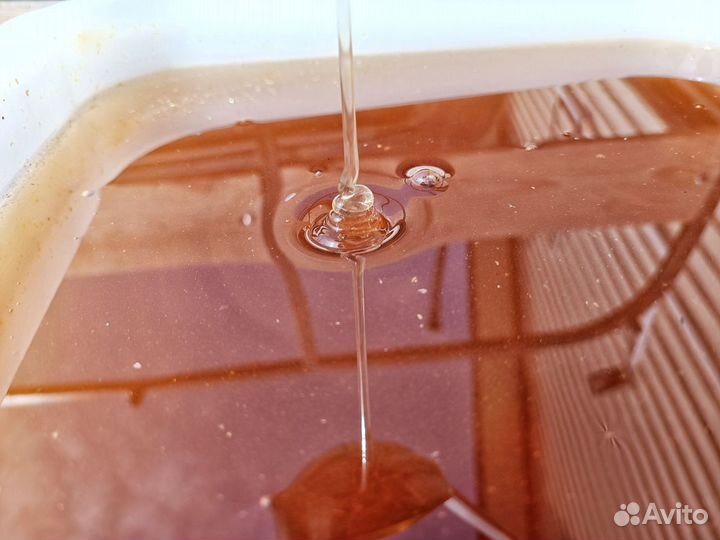 Мед/Мёд Разнотравье Алтайский 2023