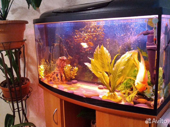 Аквариум 110л