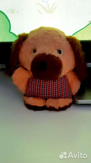 Собака СССР