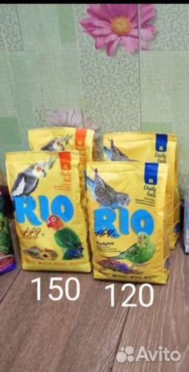 Корм, лакомство для птиц