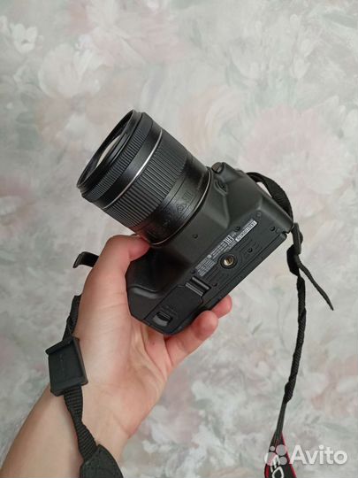 Canon eos 200d kit + 50mm 1.8