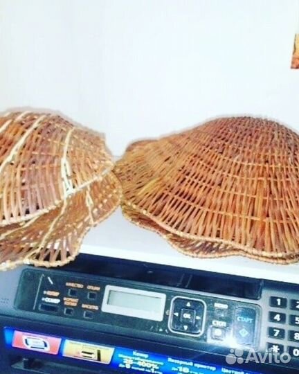 Ракушка плетёная