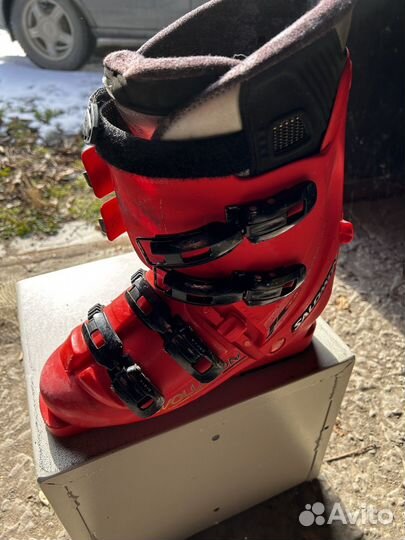 Горные лыжи