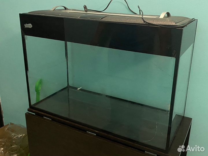Аквариум