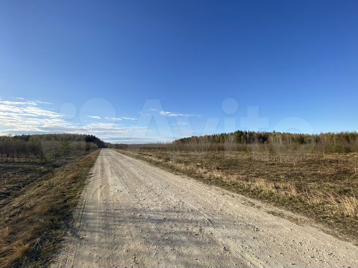 Участок 49 га (СНТ, ДНП)