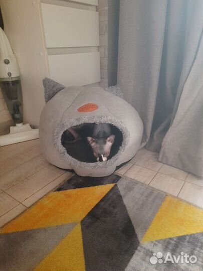 Домик лежанка для кошки и собаки