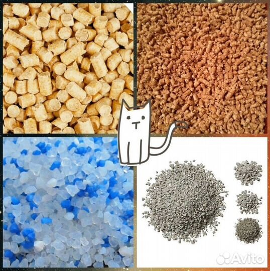 Разнорабочие/ежедневные выплаты