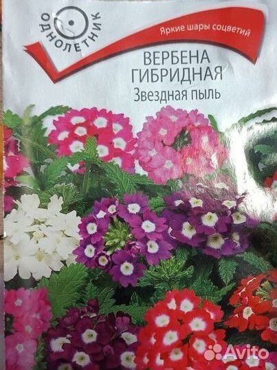 Рассада цветов: портулак, цинерария,виола и др