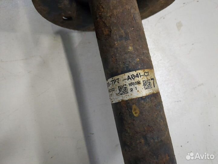 Амортизатор подвески Honda Crosstour, 2010