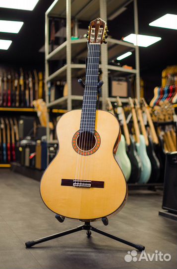 Alhambra с футляром 8.224 Flamenco Concert 10 Fc