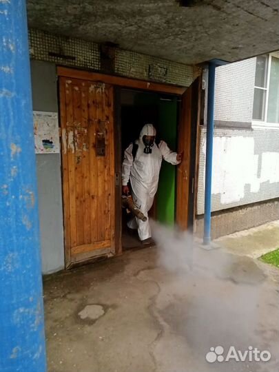 Уничтожение тараканов, травля клопов, дезинфекция