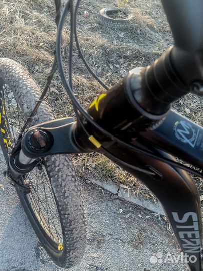 Stern Motion 2.0 2020