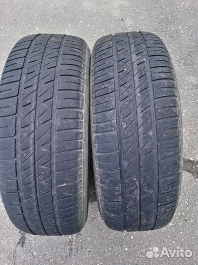 Sava Perfecta 195/65 R15