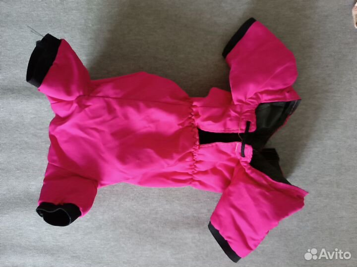 Одежда для маленьких собак, шлейка, поводок