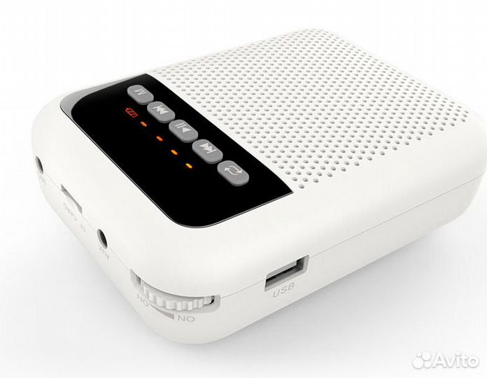 Громкоговоритель для гида LAudio WS-VA030