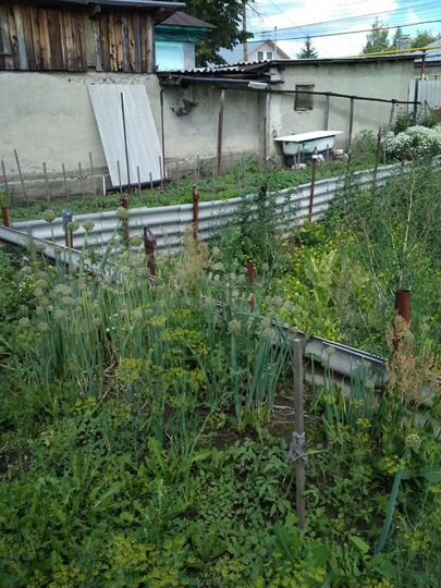 Участок 5 сот. (ИЖС)