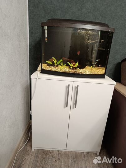 Аквариум с тумбой