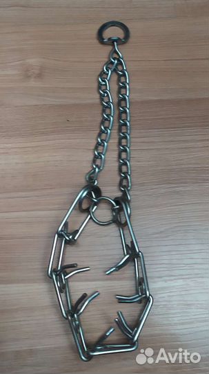 Строгий ошейник для собак