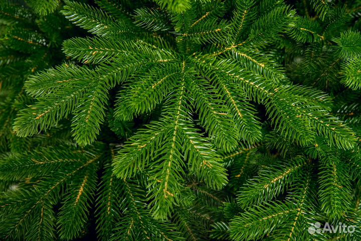 Елка искусственная Премиум Наоми