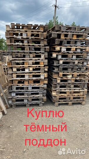 Поддоны