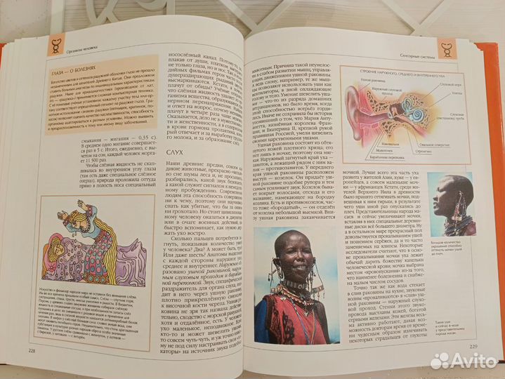 Энциклопедия Аванта +